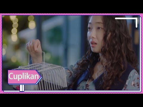 INDO SUBMy Dear Lady | Cuplikan EP04 Ketika Boss Cemburu