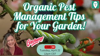 Organic Pest Management Tips for Your Garden!