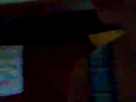 l'indemoniato dieghito vs pit bull shva la vendetta