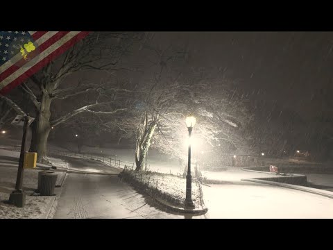 Central Park Snowfall at 3 AM (4K) | New York Night Walk