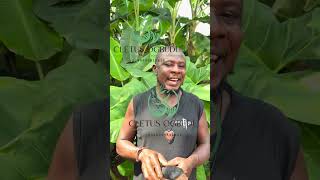 Download lagu How to cuore a Long time or !ncuor@ble Woond || Full Video 2025 mp3 Download lagu How to cuore a Long time or !ncuor@ble Woond || Full Video 2025 mp3