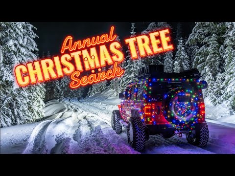The Out of the Woods annual family Christmas tree search
