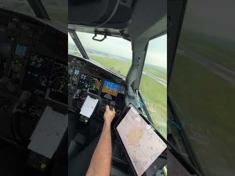 BEST Boeing 737 Landing Video! ABSOLUTE BUTTER!
