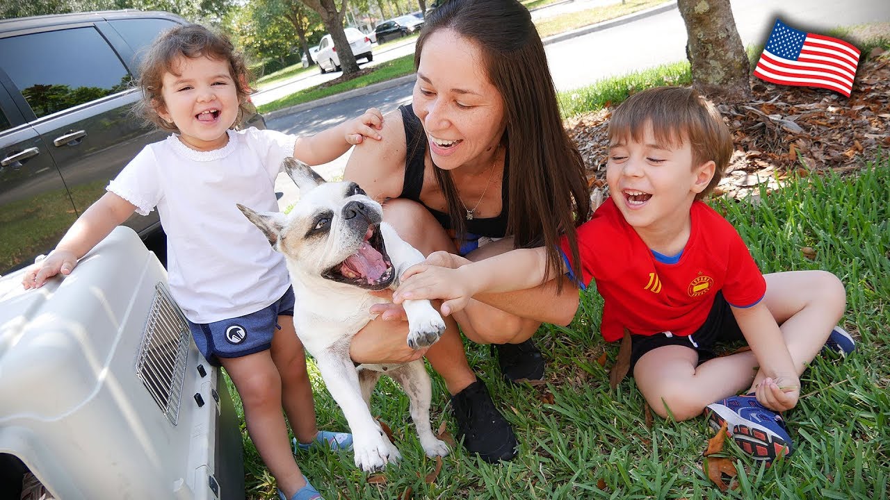 YUFFIE HAS ARRIVED IN THE UNITED STATES - Brancoala Family in Orlando