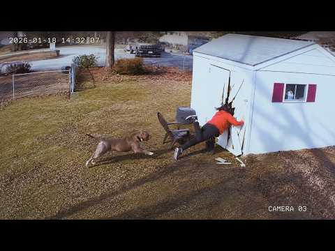 Ultimate Funny Videos Compilation 🤣 Epic Fails & Viral Moments 2026