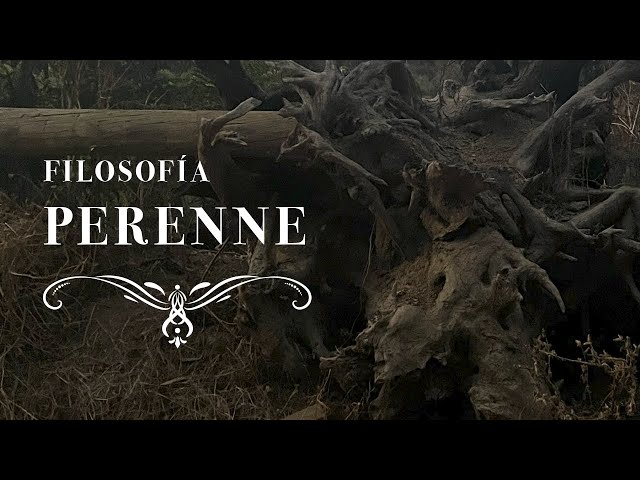 Vídeo relacionado con Preceptos de Oro de la Filosofía Perenne