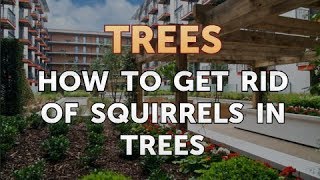 How to Get Rid of Squirrels in Trees