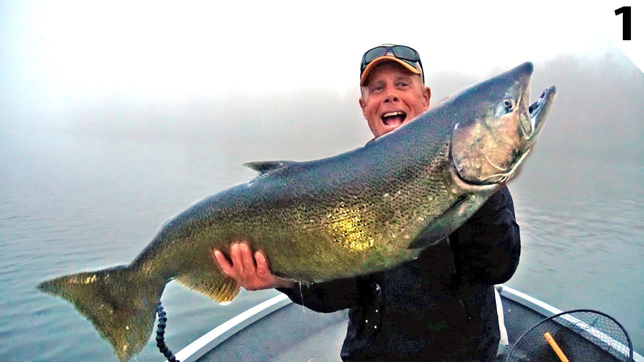 KING SALMON: Fishing the Chinook Spawn in Green Bay - Part 1 Field Trips Wisconsin