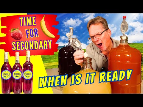 It's Time for Secondary Fermentation - When to get your Wine from Primary to Secondary Fermentation