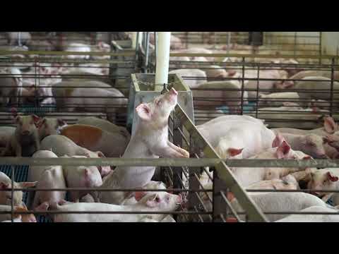 Imamo rešenje ep. 225 02.10.2023. NAJAVA