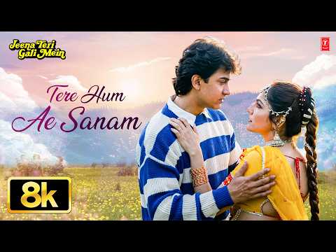 Tere Hum Ae Sanam — watch video