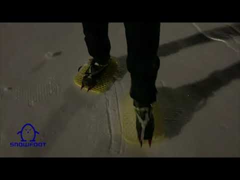 Snowfoot: "Surf's Up" (2019)