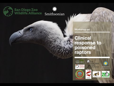 Workshop on Raptor Medicine and Poisoning Response 2022