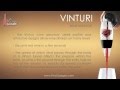 vinturi wine aerator