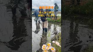 田んぼで学び仲間とつながる。　田植え体験　参政党岩手