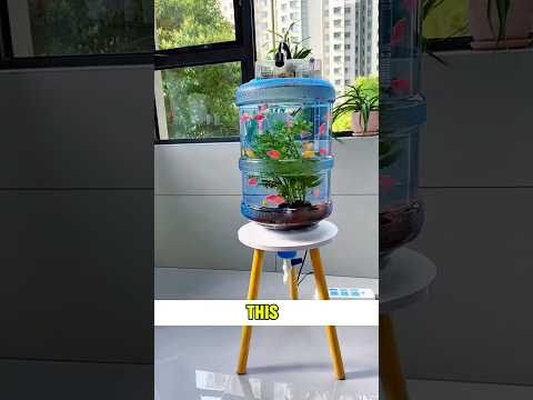 This man is very clever!