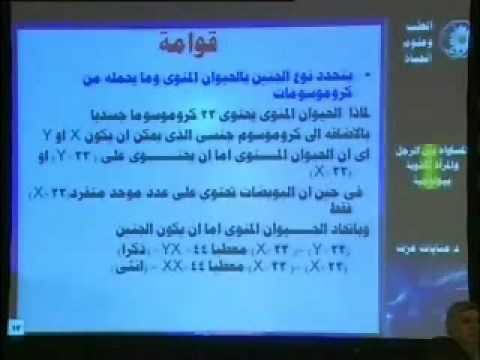 المساواة بين الرجل والمرأة أكذوبة بيولوجية الجزء الأول (1) - الإعجاز العلمي فى القرآن الكريم