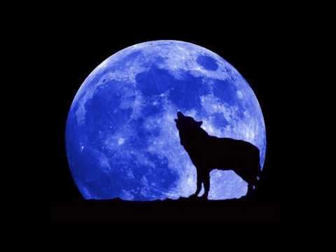 Big Bad Wolf - Brian Diamond & The Cutters