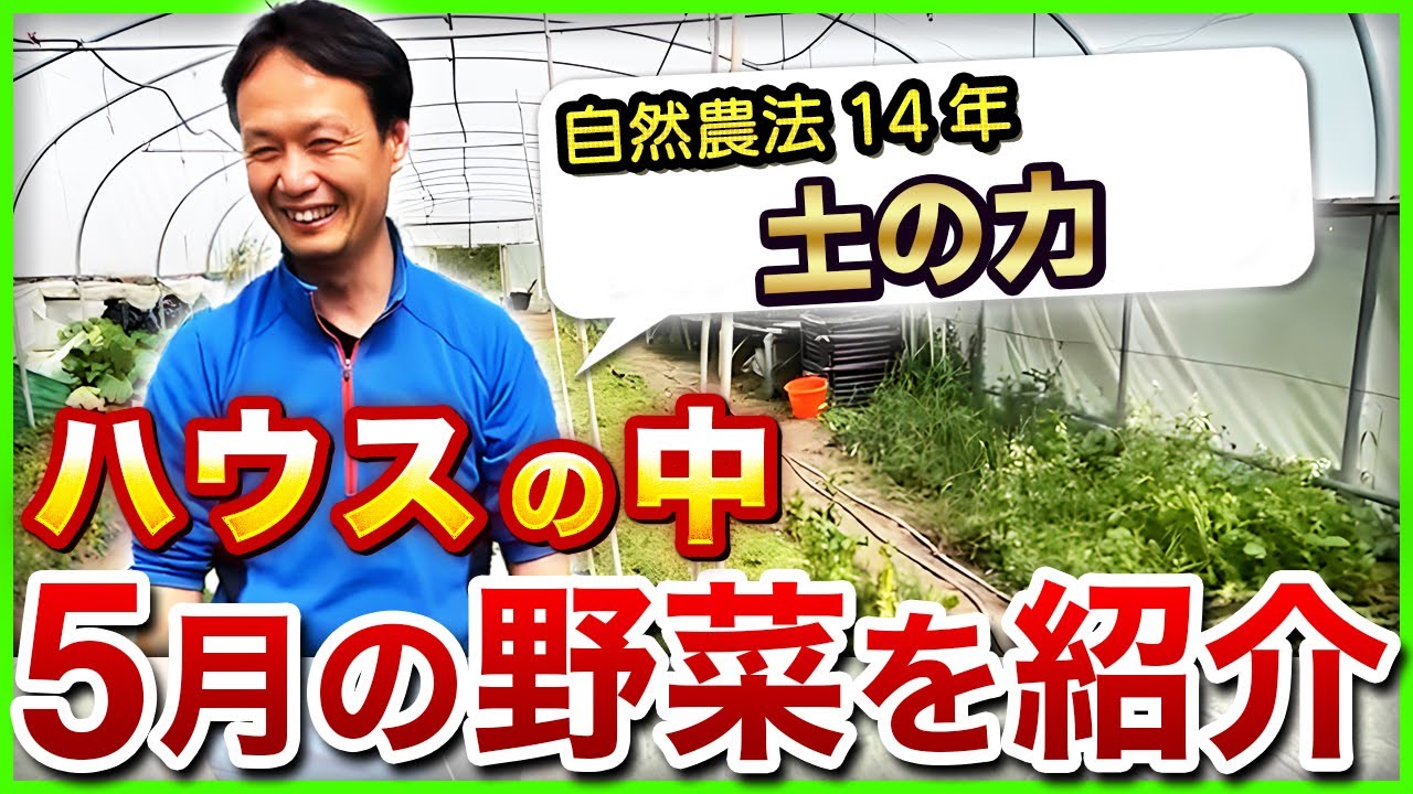 無肥料で育つ!自家採種と連作の力