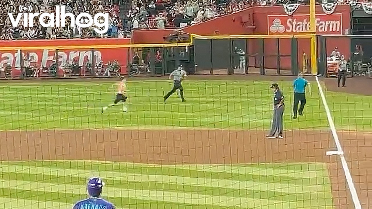 Running Fan Interrupts Arizona Baseball Game || ViralHog