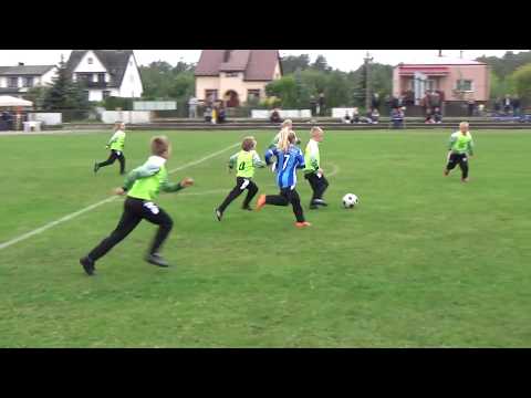 APN Orkan krótki sparing