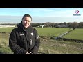 Discussie buitenlandse honden na doodgebeten schapen