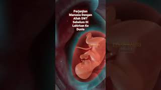 Download lagu Mashaa Allah!! It turns out this is our agreement with Allah SWT before being born into this world. mp3 Download lagu Mashaa Allah!! It turns out this is our agreement with Allah SWT before being born into this world. mp3