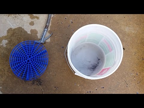 Detailing tips with Grit guard review