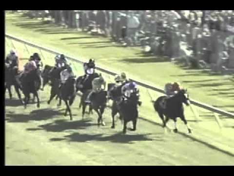 PImlico 051912 Race 11 - Jӓgermeister Dixie Stakes