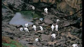 BARÓN ROJO-HERENCIA LETAL