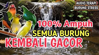 Download lagu 100% AMPUH‼️ Terapi Burung Stress dan Macet Bunyi Agar Kembali Gacor - Suara Gemericik Air Alami mp3 Download lagu 100% AMPUH‼️ Terapi Burung Stress dan Macet Bunyi Agar Kembali Gacor - Suara Gemericik Air Alami mp3