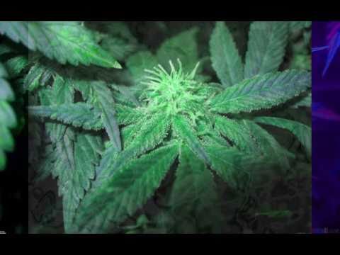 Popcaan Ft. Gyptian ft Ermias360 - Run The Streets