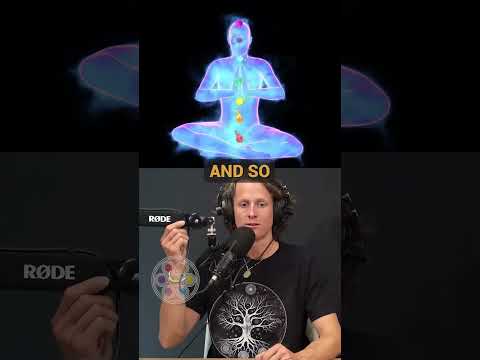 The Law of One: Unveiling the Interconnected Web of Life