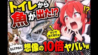 うおｗ　キュウミリ