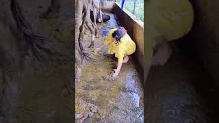 Lady cleans up cow poop by hand 💩