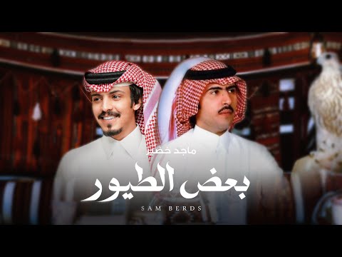 بعض الطيور ماجد خضير