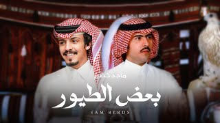 كلمات اغنية بعض الطيور ماجد خضير