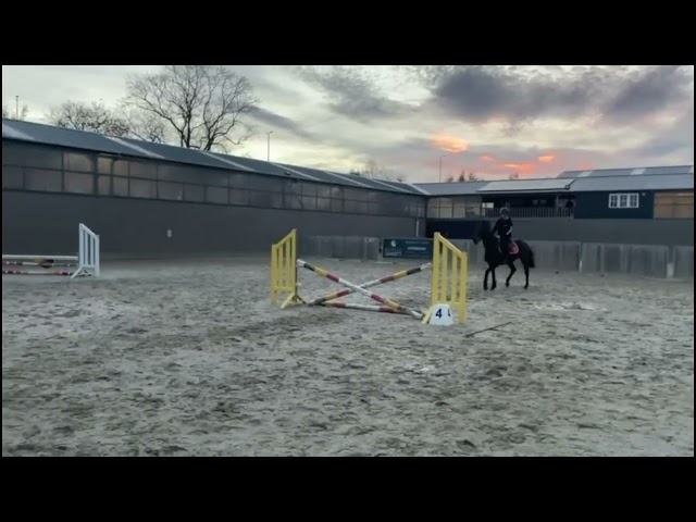 Popstar de Hansez - sBs - 4 ans