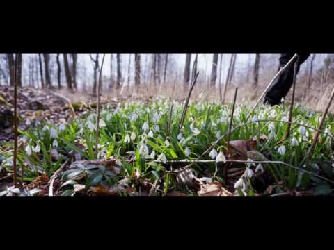 Design from Finland - Form follows nature by Finnish light