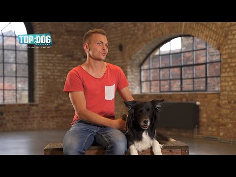 Supertalent winner Lukas comes to Top Dog with his dog Joke! | Top Dog Germany