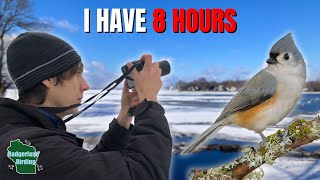 I Challenged Myself To Find As Many New Birds As Possible!