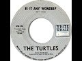 (22a) Turtles - Is It Any Wonder?