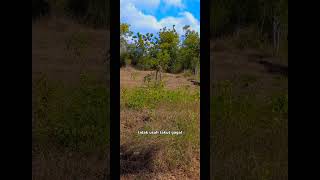 Download lagu Pesan Mbak Mery Riana #youtubeshort mp3 Download lagu Pesan Mbak Mery Riana #youtubeshort mp3