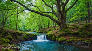 Успокаивает, восстанавливает нервную систему 🌿 Перестаньте думать, музыка для снятия стресса #2