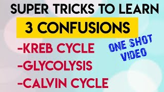 Trick To Learn KREB CYCLEGLYCOLYSISCALVIN CYCLE In