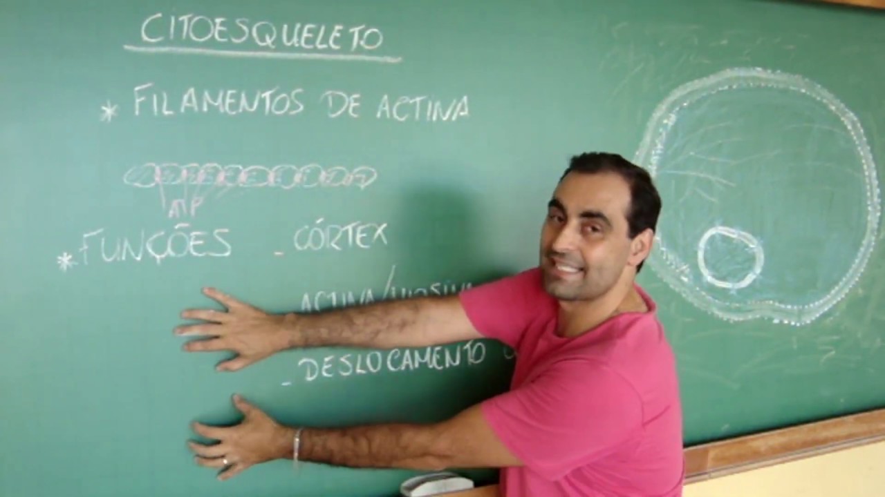 #Citologia: Citoesqueleto (Parte 01: Filamentos de Actina)