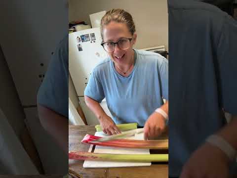 Rhubarb 101: Picking, Cleaning & Delicious Uses!