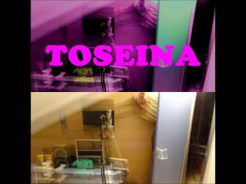 5 - TRANSCENDIENDO (LITEDELAOLLA) (PROD BY LITE) TOSEINA (2012)