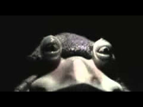 Trailervision: The Jar Jar Binks Project