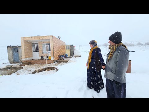 Blizzard: Cold Outside, Warm Inside - A Couple's Unwavering Love for Each Other's Survival